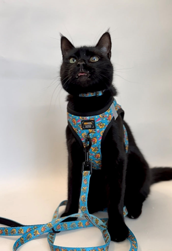 A black cat from the Sassy Woof CatDog™ collection wears a colorful Cat Leash - Nickelodeon CatDog™ with cartoon designs and a padded neoprene handle, sitting on a white background and looking up with its tongue out.