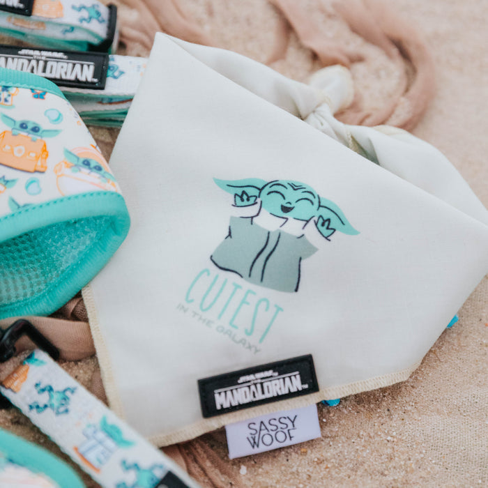 A Sassy Woof Dog Bandana - STAR WARS™ The Child™ featuring Grogu and “Cutest in the Galaxy” rests on sand, with matching turquoise STAR WARS-themed pet accessories including a leash and lightweight cotton dog collar nearby.