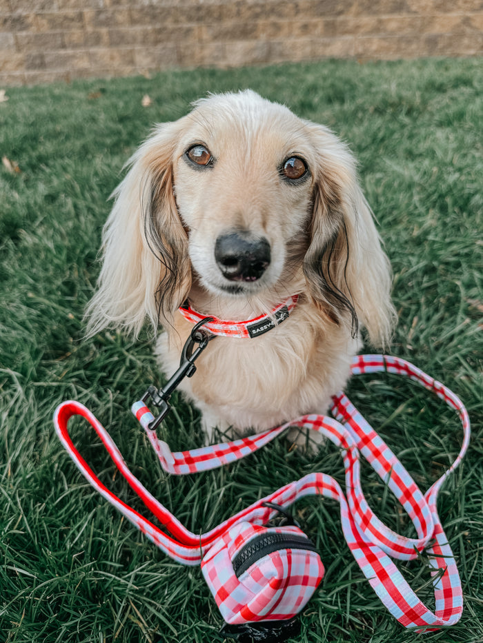INFLUENCER_CONTENT | @ITSLUCYTHEDOXIE
