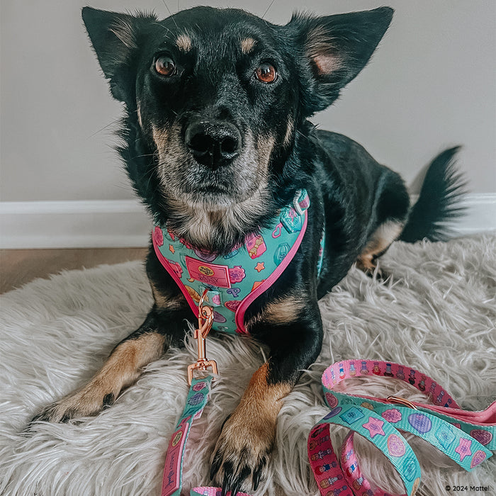 INFLUENCER_CONTENT | @CHAITOTHERESCUE