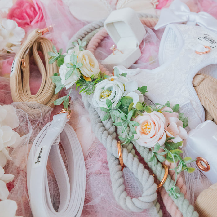 A flat lay featuring Sassy Woof’s Dog Leash Flower Accessory, lace lingerie, a white garter with Velcro, beige straps, and a ring in a white box—all arranged on pink and white fabric with floral accents.