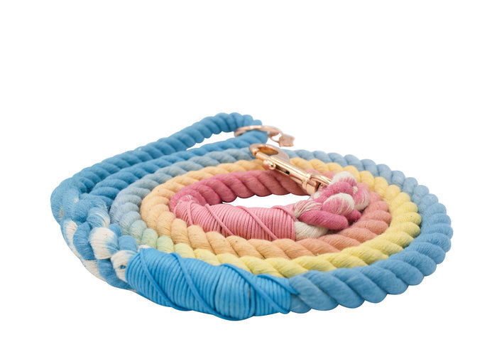 The Sassy Woof Dog Rope Leash - Bright features a coiled ombre design in pastel blue, yellow, pink, and cream with a gold clasp, shown on a white background.