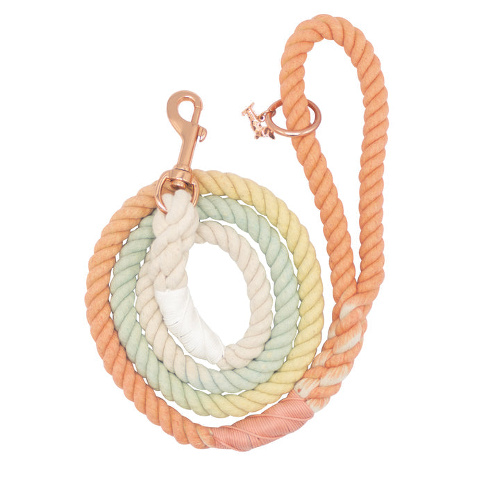 The Sassy Woof Dog Rope Leash - Honeydew features a hand-crafted, coiled ombre design in peach, yellow, green, and cream with a rose gold metal clasp and handle ring for stylish, durable walks.