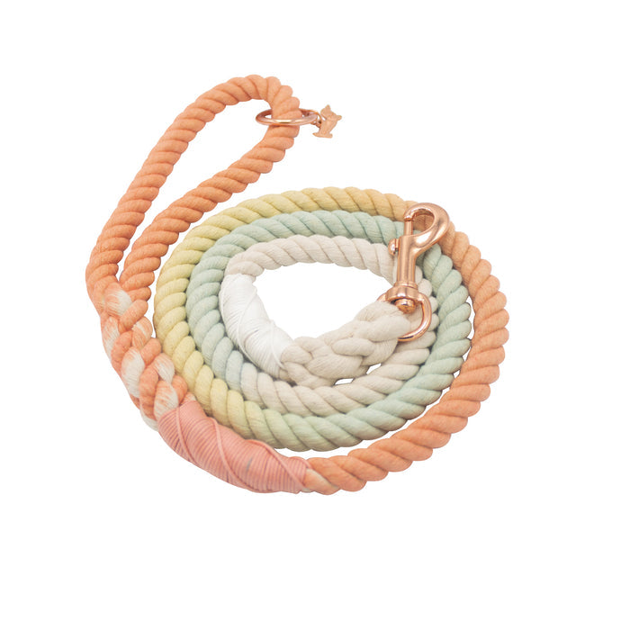 The Sassy Woof Dog Rope Leash - Honeydew is a hand-crafted cotton leash in a coiled ombre design with pastel peach, green, and cream hues, finished with a rose gold clasp.