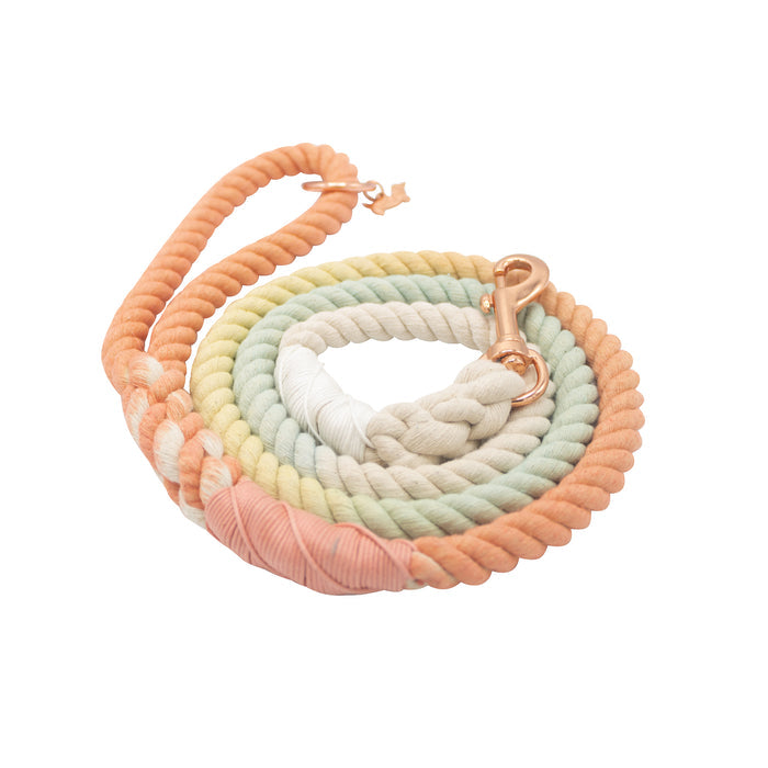 The Sassy Woof Dog Rope Leash - Honeydew is a hand-crafted, ombre cotton leash with a rose gold clasp, featuring coiled pastel shades of orange, yellow, green, and cream.