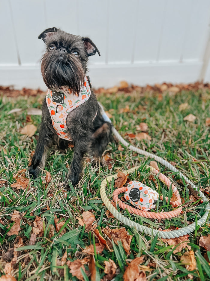 INFLUENCER_CONTENT | @SIRREMINGTONGTHEGRIFF