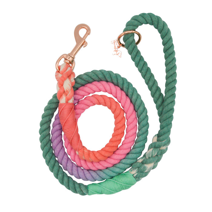 The Sassy Woof Dog Rope Leash - Unicorn features green, pink, orange, and purple ombre sections, a sturdy metal clasp, and a loop handle. This hand-crafted leash is both stylish and durable for daily walks with your pup.