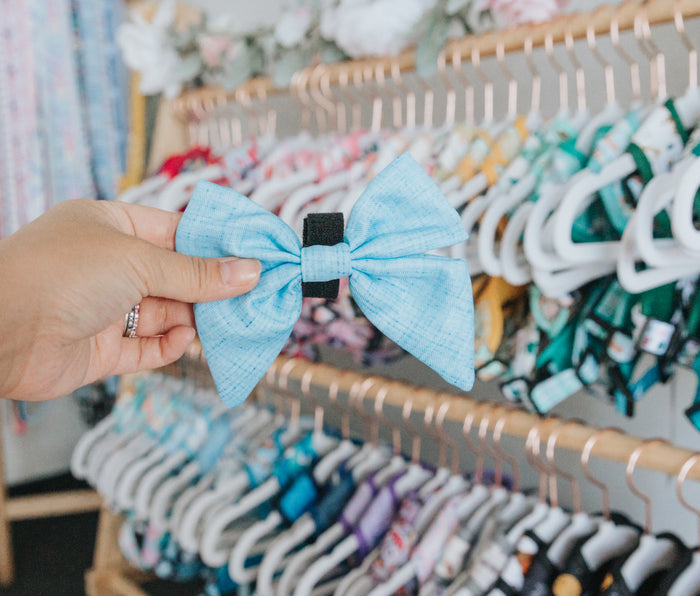 A hand holds the Sassy Woof Dog Sailor Bow - Blumond, a large light blue bow with a black center, in front of a display of colorful pet accessories and clothing hanging on a rack.
