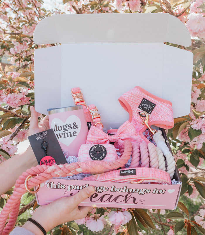 A person holds an open gift box with pink dog walking accessories, including a rope leash, collar, bow tie, Sassy Woof Dog Waste Bag Holder - Dolce Rose, tumbler labeled dogs & wine, keychains, and shredded paper. Pink cherry blossoms frame the background.