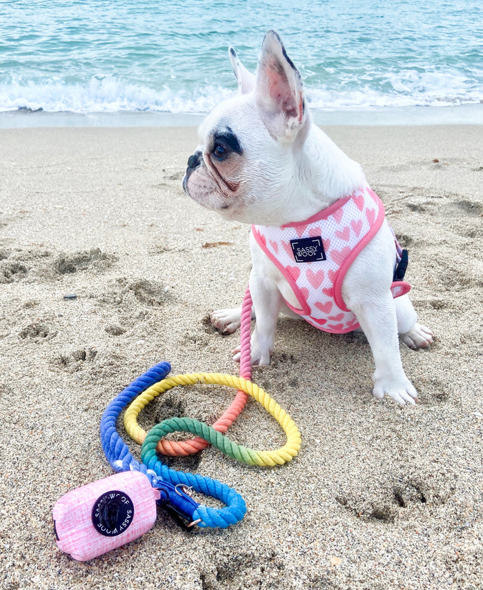 A small white French Bulldog in a pink Sassy Woof harness sits on the beach near the ocean, with a colorful leash and a Sassy Woof Dog Waste Bag Holder - Dolce Rose among other cute walking accessories beside it.