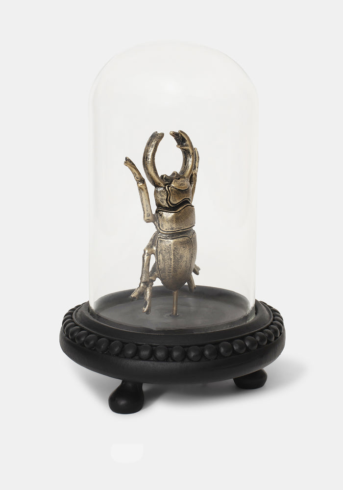 Lyra Bug in Jar