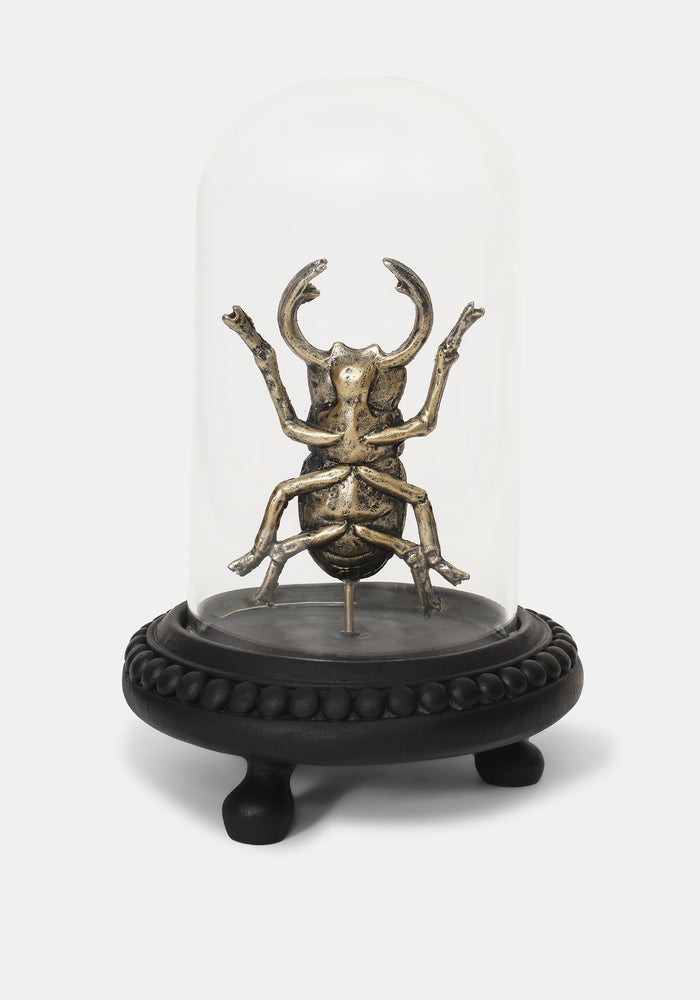 Lyra Bug in Jar