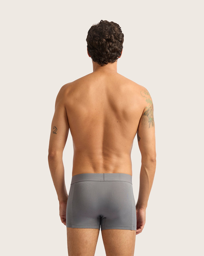 Men's Everyday Boxer Briefs - Ash