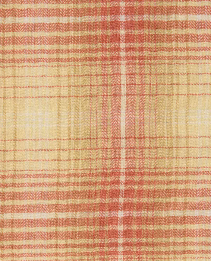 Re-Form Flannel Western Shirt